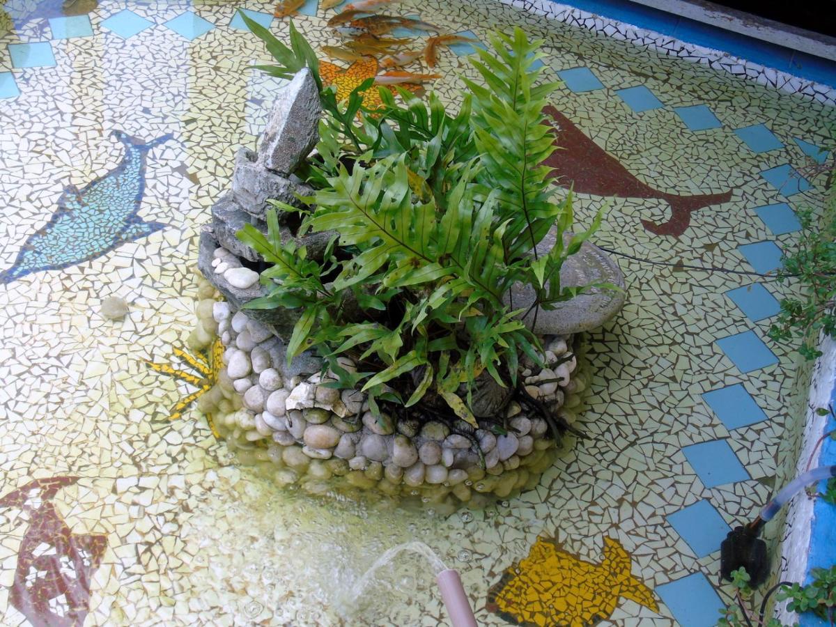 Pousada A Flor Da Terra ปอร์โตเซกูโร ภายนอก รูปภาพ